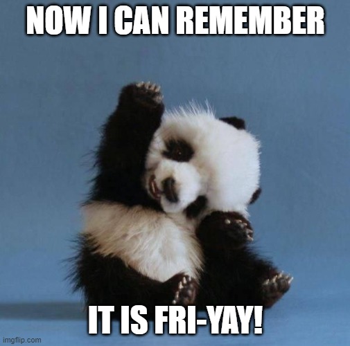 Panda | NOW I CAN REMEMBER; IT IS FRI-YAY! | image tagged in panda | made w/ Imgflip meme maker
