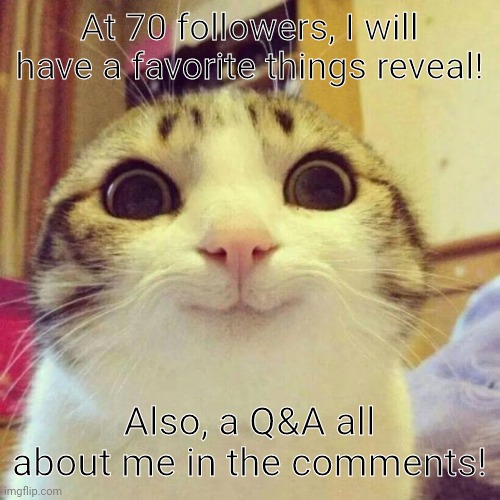 Smiling Cat | At 70 followers, I will have a favorite things reveal! Also, a Q&A all about me in the comments! | image tagged in memes,smiling cat | made w/ Imgflip meme maker