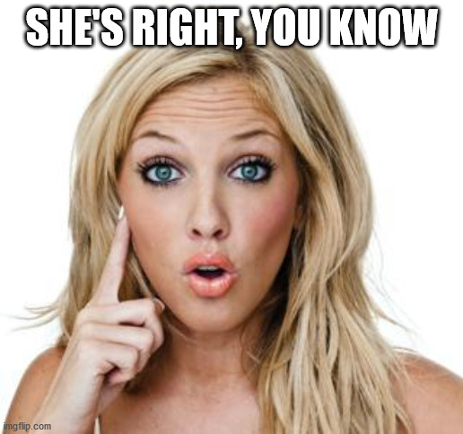 Dumb blonde | SHE'S RIGHT, YOU KNOW | image tagged in dumb blonde | made w/ Imgflip meme maker
