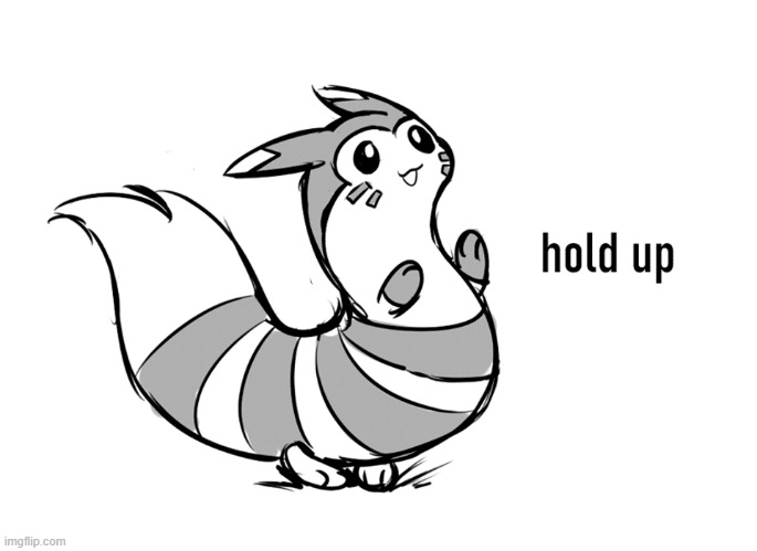 Furret hold up | image tagged in furret hold up | made w/ Imgflip meme maker