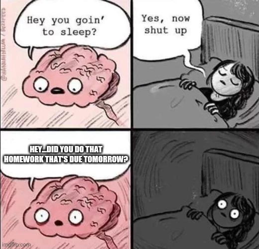 Uh-oh | HEY...DID YOU DO THAT HOMEWORK THAT'S DUE TOMORROW? | image tagged in waking up brain | made w/ Imgflip meme maker