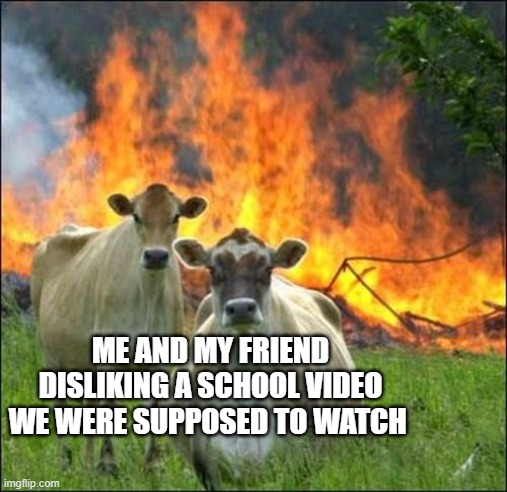 Evil Cows Meme | ME AND MY FRIEND DISLIKING A SCHOOL VIDEO WE WERE SUPPOSED TO WATCH | image tagged in memes,evil cows | made w/ Imgflip meme maker