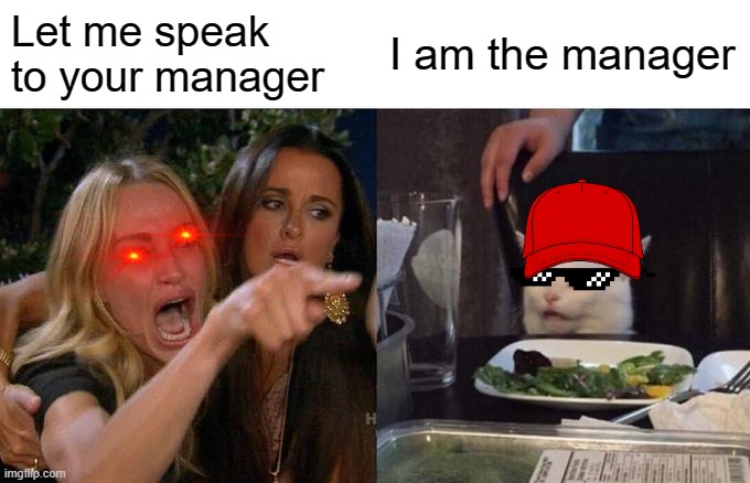 Karen.v.cat | Let me speak to your manager; I am the manager | image tagged in memes,woman yelling at cat | made w/ Imgflip meme maker