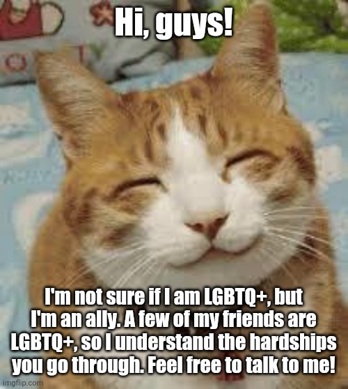 Happy cat | Hi, guys! I'm not sure if I am LGBTQ+, but I'm an ally. A few of my friends are LGBTQ+, so I understand the hardships you go through. Feel free to talk to me! | image tagged in happy cat | made w/ Imgflip meme maker