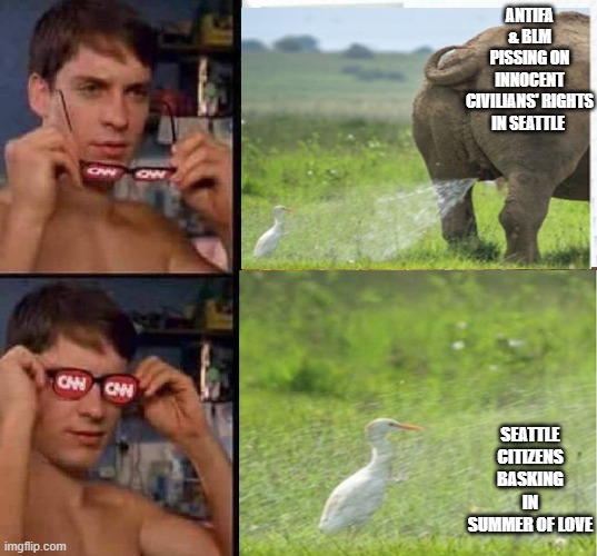 ANTIFA & BLM PISSING ON INNOCENT CIVILIANS' RIGHTS IN SEATTLE; SEATTLE CITIZENS BASKING IN SUMMER OF LOVE | image tagged in cnn fake news,funny,politics,political meme | made w/ Imgflip meme maker
