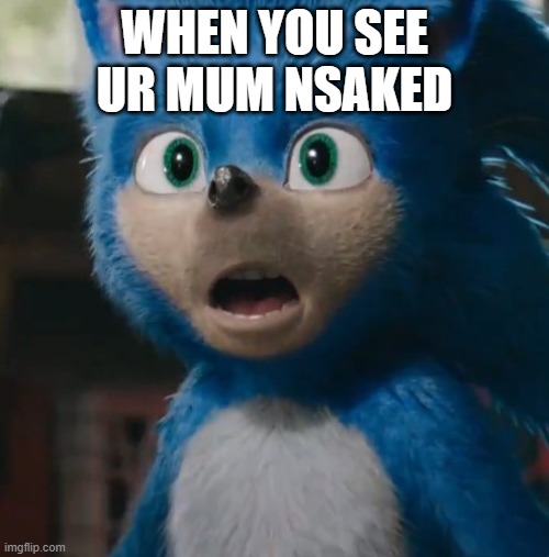 I feel sory for sonic | WHEN YOU SEE UR MUM NSAKED | image tagged in sonic movie | made w/ Imgflip meme maker