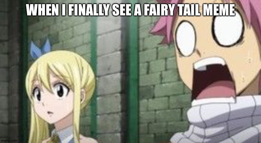 Fairy Tail Meme | WHEN I FINALLY SEE A FAIRY TAIL MEME | image tagged in fairy tail | made w/ Imgflip meme maker