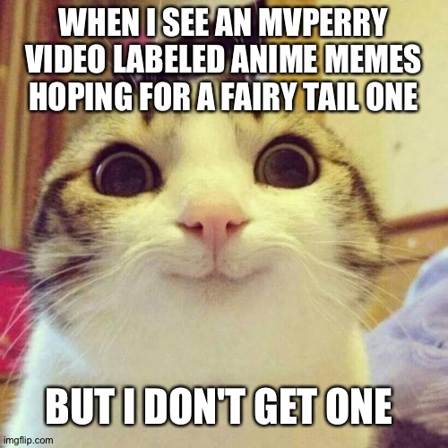 Idk | WHEN I SEE AN MVPERRY VIDEO LABELED ANIME MEMES HOPING FOR A FAIRY TAIL ONE; BUT I DON'T GET ONE | image tagged in memes,smiling cat | made w/ Imgflip meme maker
