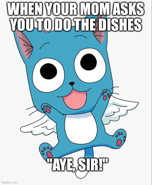 Happy the cat | WHEN YOUR MOM ASKS YOU TO DO THE DISHES; "AYE, SIR!" | image tagged in memes | made w/ Imgflip meme maker