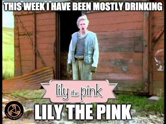 Jesse Been Drinking Lily The Pink | THIS WEEK I HAVE BEEN MOSTLY DRINKING; LILY THE PINK | image tagged in fast show,jesse,alcohol,pink,and that's all i have to say about that,y'all got any more of that | made w/ Imgflip meme maker