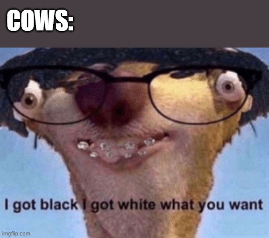 Cows | COWS: | image tagged in i got black i got white what ya want,memes,cow | made w/ Imgflip meme maker