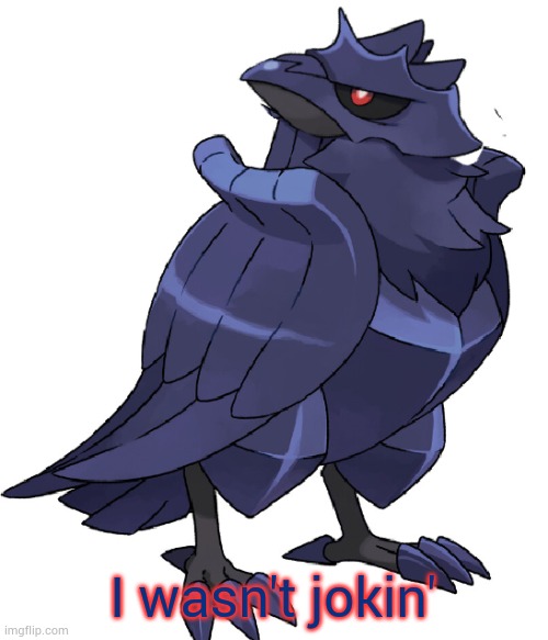 did i stutter corviknight | I wasn't jokin' | image tagged in did i stutter corviknight | made w/ Imgflip meme maker