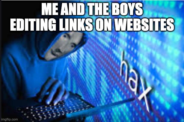 total computer gods | ME AND THE BOYS EDITING LINKS ON WEBSITES | image tagged in hax | made w/ Imgflip meme maker