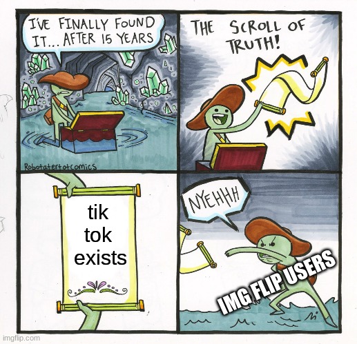 NYEEEHHH | tik tok
 exists; IMG FLIP USERS | image tagged in memes,the scroll of truth,tik tok,imgflip,seagull | made w/ Imgflip meme maker