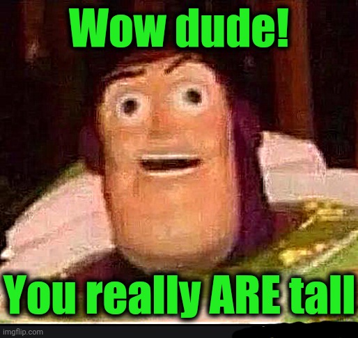 Funny Buzz Lightyear | Wow dude! You really ARE tall | image tagged in funny buzz lightyear | made w/ Imgflip meme maker