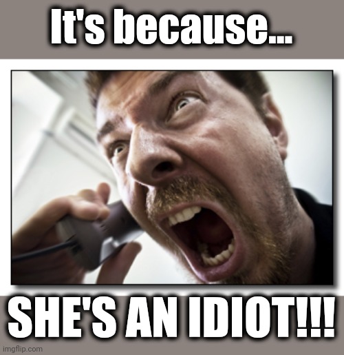 Shouter Meme | It's because... SHE'S AN IDIOT!!! | image tagged in memes,shouter | made w/ Imgflip meme maker