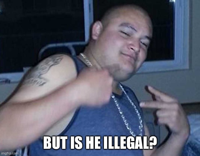 Illegal alien cop killer | BUT IS HE ILLEGAL? | image tagged in illegal alien cop killer | made w/ Imgflip meme maker