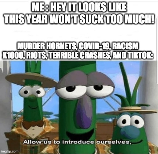 Allow us to introduce ourselves | ME : HEY IT LOOKS LIKE THIS YEAR WON'T SUCK TOO MUCH! MURDER HORNETS, COVID-19, RACISM X1000, RIOTS, TERRIBLE CRASHES, AND TIKTOK: | image tagged in allow us to introduce ourselves,coronavirus,tik tok,2020 | made w/ Imgflip meme maker