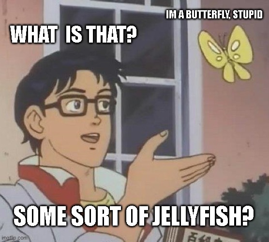 Is This A Pigeon | IM A BUTTERFLY, STUPID; WHAT  IS THAT? SOME SORT OF JELLYFISH? | image tagged in memes,is this a pigeon | made w/ Imgflip meme maker