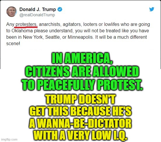 Trump is an illiterate pile of trash. | IN AMERICA, CITIZENS ARE ALLOWED TO PEACEFULLY PROTEST. TRUMP DOESN'T GET THIS BECAUSE HE'S A WANNA-BE-DICTATOR WITH A VERY LOW I.Q. | image tagged in donald trump,constitution,protesters,tweet,moron,threats | made w/ Imgflip meme maker