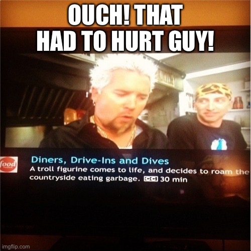 Shade thrown... | OUCH! THAT HAD TO HURT GUY! | image tagged in memes,guy fieri,you had one job | made w/ Imgflip meme maker