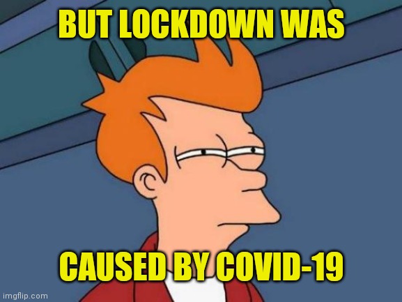 Futurama Fry Meme | BUT LOCKDOWN WAS CAUSED BY COVID-19 | image tagged in memes,futurama fry | made w/ Imgflip meme maker