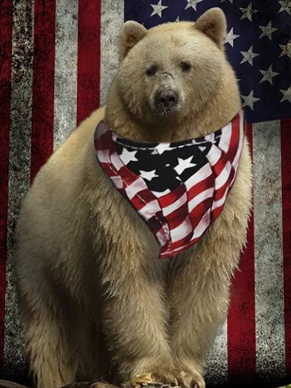flag Blank Meme Template