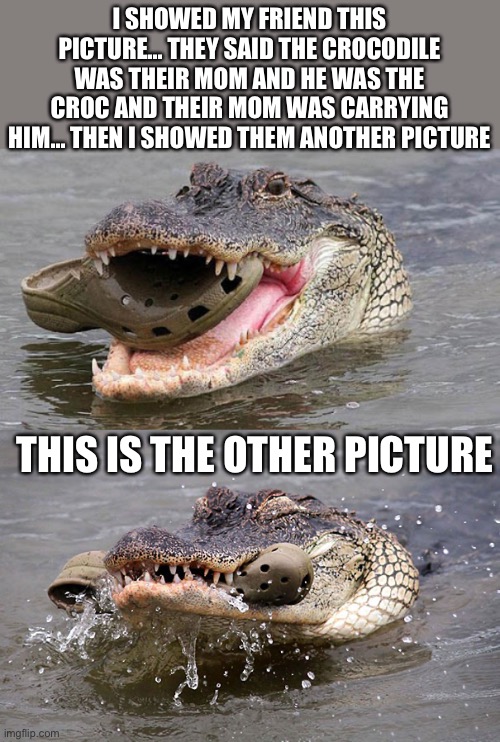 ... | I SHOWED MY FRIEND THIS PICTURE... THEY SAID THE CROCODILE WAS THEIR MOM AND HE WAS THE CROC AND THEIR MOM WAS CARRYING HIM... THEN I SHOWED THEM ANOTHER PICTURE; THIS IS THE OTHER PICTURE | made w/ Imgflip meme maker