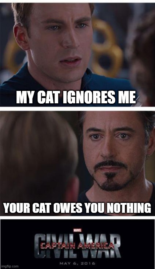 Marvel Civil War 1 Meme | MY CAT IGNORES ME; YOUR CAT OWES YOU NOTHING | image tagged in memes,marvel civil war 1 | made w/ Imgflip meme maker