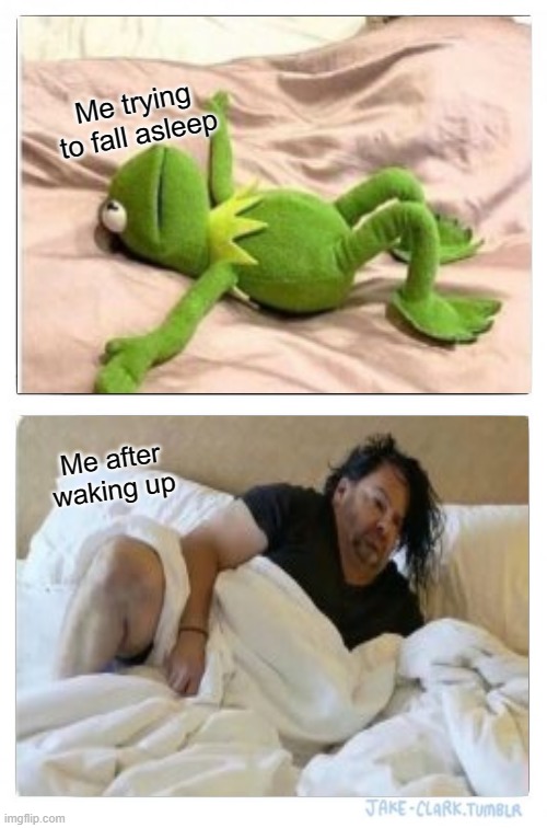 Before, during, past covid pandemic pretty much.. | Me trying to fall asleep; Me after waking up | image tagged in memes,i sleep,no sleep,in real life | made w/ Imgflip meme maker