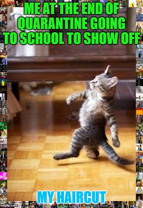 my haircut | ME AT THE END OF QUARANTINE GOING TO SCHOOL TO SHOW OFF; MY HAIRCUT | image tagged in memes,cool cat stroll | made w/ Imgflip meme maker