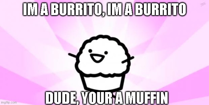 Im A Burrito |  IM A BURRITO, IM A BURRITO; DUDE, YOUR A MUFFIN | image tagged in somebody kill me asdf | made w/ Imgflip meme maker