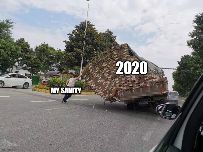 2020 really do be like that tho. | 2020; MY SANITY | image tagged in 2020 | made w/ Imgflip meme maker
