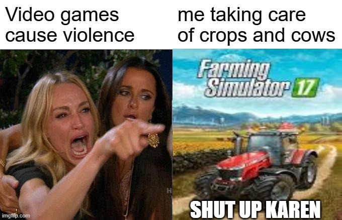 farming sim | Video games cause violence; me taking care of crops and cows; SHUT UP KAREN | image tagged in memes,woman yelling at cat | made w/ Imgflip meme maker