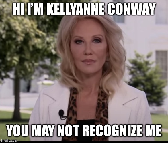 Kellyanne CONway | HI I’M KELLYANNE CONWAY; YOU MAY NOT RECOGNIZE ME | image tagged in conway,donald trump,trump,republicans,plastic surgery | made w/ Imgflip meme maker