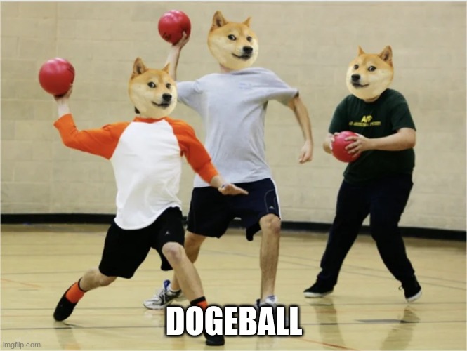 DOGEBALL | made w/ Imgflip meme maker