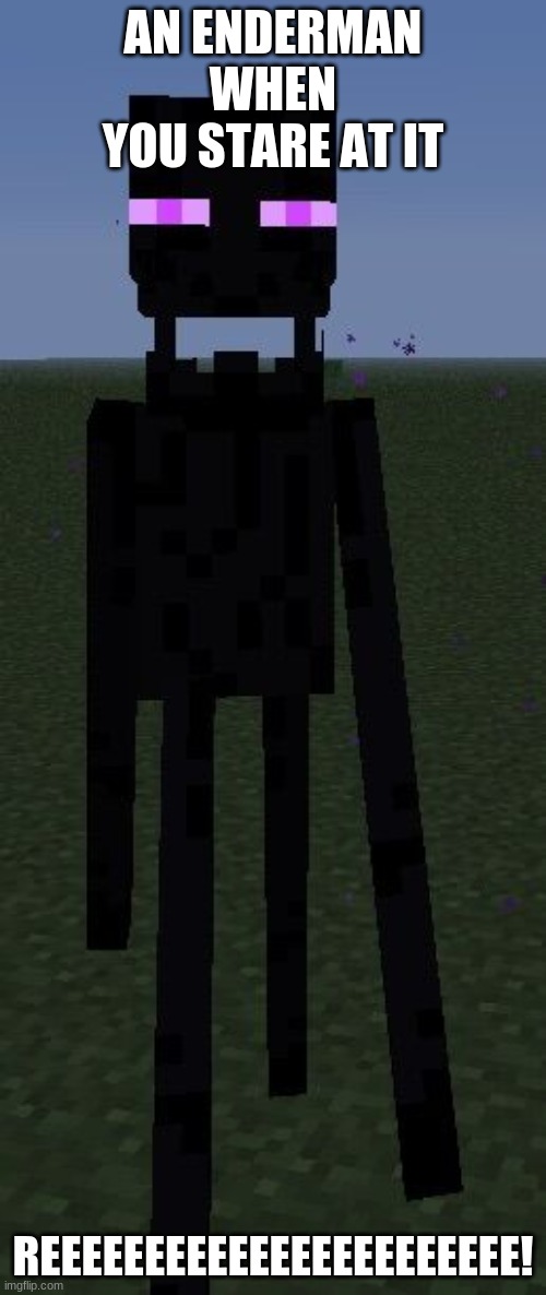 Reeing enderman | AN ENDERMAN WHEN YOU STARE AT IT; REEEEEEEEEEEEEEEEEEEEEEE! | image tagged in minecraft | made w/ Imgflip meme maker