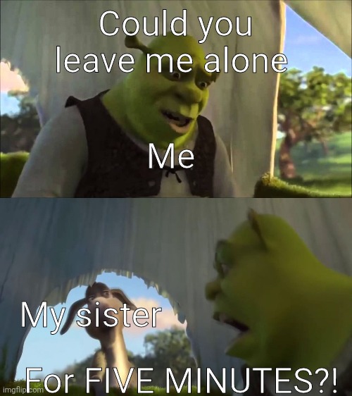 shrek five minutes | Could you leave me alone; Me; My sister; For FIVE MINUTES?! | image tagged in shrek five minutes | made w/ Imgflip meme maker
