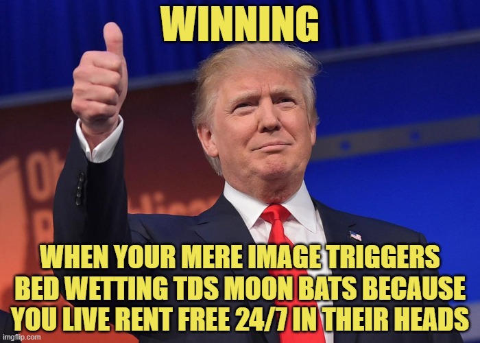 See you in Tulsa, where we reclaim America from the Left. | WINNING; WHEN YOUR MERE IMAGE TRIGGERS BED WETTING TDS MOON BATS BECAUSE YOU LIVE RENT FREE 24/7 IN THEIR HEADS | image tagged in donald trump | made w/ Imgflip meme maker