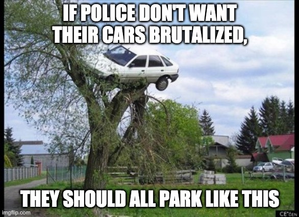 Protected Police Parking | IF POLICE DON'T WANT THEIR CARS BRUTALIZED, THEY SHOULD ALL PARK LIKE THIS | image tagged in memes,secure parking,police car parking | made w/ Imgflip meme maker