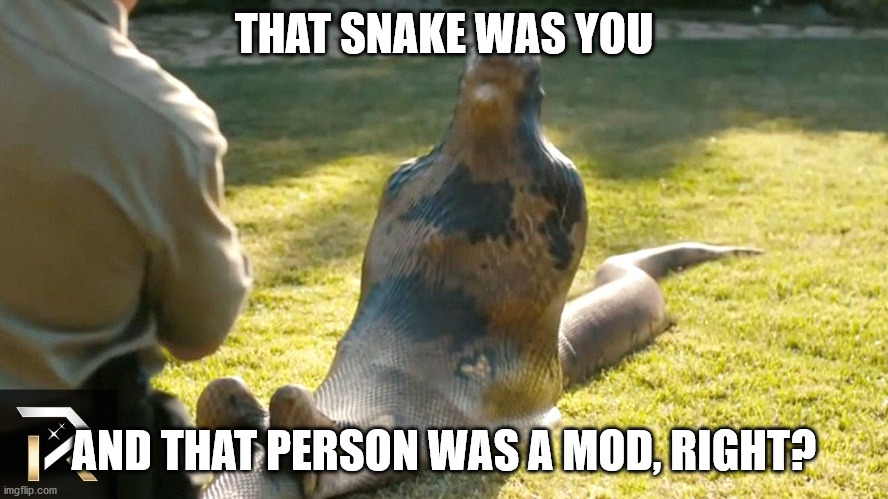 THAT SNAKE WAS YOU AND THAT PERSON WAS A MOD, RIGHT? | made w/ Imgflip meme maker