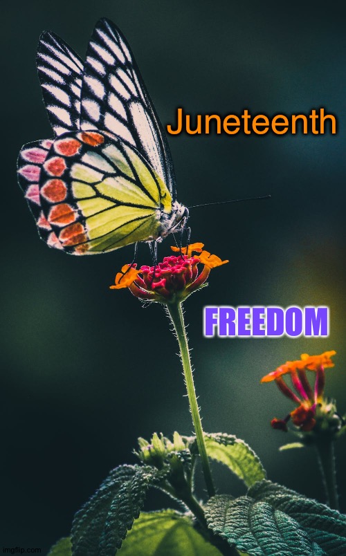 Juneteenth |  Juneteenth; FREEDOM | image tagged in juneteenth | made w/ Imgflip meme maker