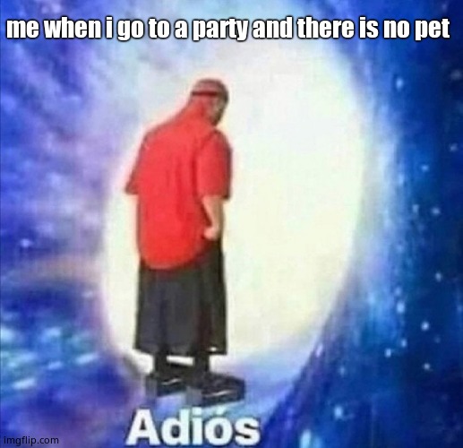 Adios | me when i go to a party and there is no pet | image tagged in adios | made w/ Imgflip meme maker