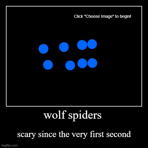 wolf spider | image tagged in funny,demotivationals | made w/ Imgflip demotivational maker