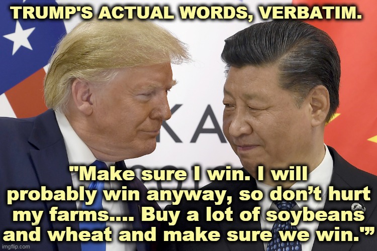 Old Man Trump begged China for help in the election. No wonder he's trying to kill Bolton's book. | TRUMP'S ACTUAL WORDS, VERBATIM. "Make sure I win. I will probably win anyway, so don’t hurt my farms.… Buy a lot of soybeans and wheat and make sure we win.'” | image tagged in trump begging xi for help in the election,trump,xi,begging,cheat,china | made w/ Imgflip meme maker