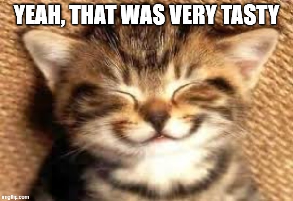Happy cat | YEAH, THAT WAS VERY TASTY | image tagged in happy cat | made w/ Imgflip meme maker