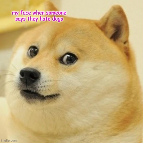 Doge | my face when someone says they hate dogs | image tagged in memes,doge | made w/ Imgflip meme maker