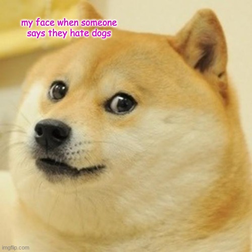 Doge Meme | my face when someone says they hate dogs | image tagged in memes,doge | made w/ Imgflip meme maker