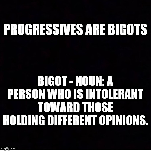 PROGRESSIVES ARE BIGOTS BIGOT - NOUN: A PERSON WHO IS INTOLERANT TOWARD THOSE HOLDING DIFFERENT OPINIONS. | made w/ Imgflip meme maker