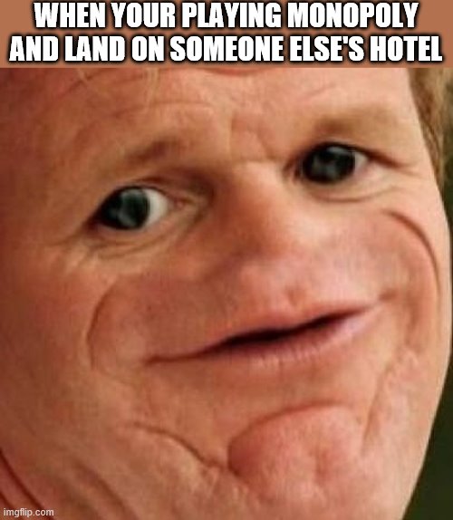 SOSIG | WHEN YOUR PLAYING MONOPOLY AND LAND ON SOMEONE ELSE'S HOTEL | image tagged in sosig | made w/ Imgflip meme maker